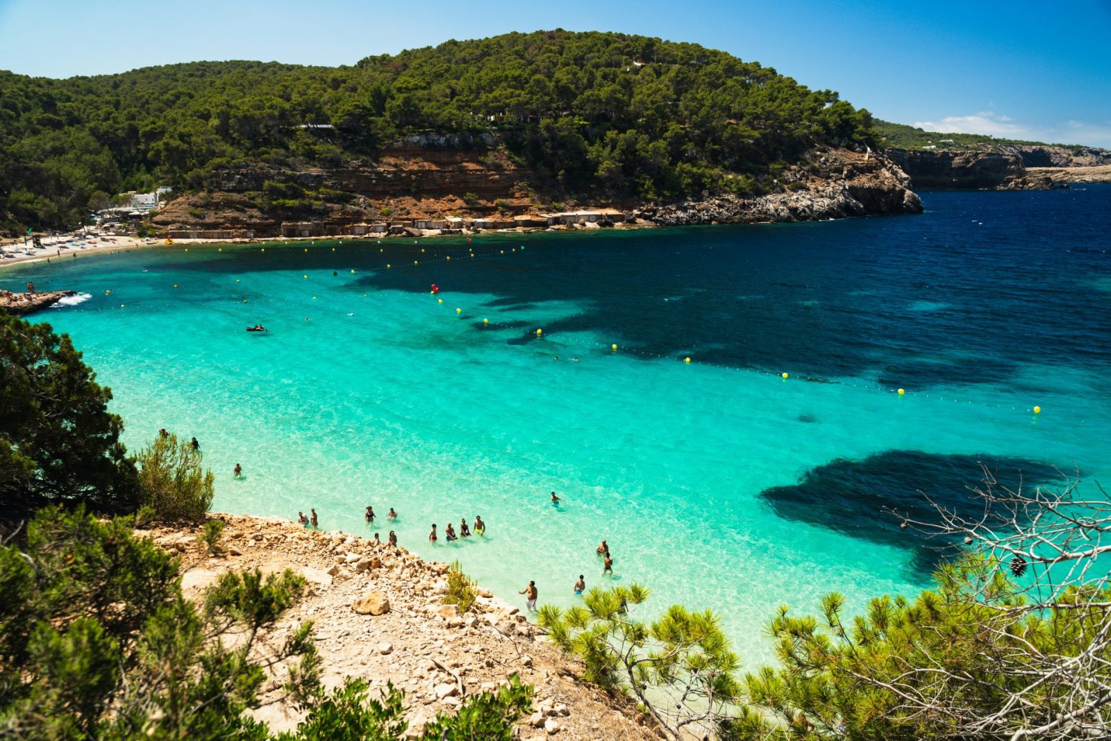 a group of people swimming in a blue ocean